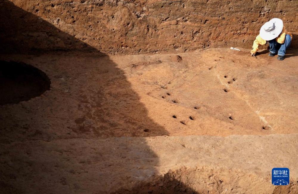 河南發(fā)現距今5000年的大墓遺址，揭示古代文明的寶藏