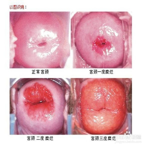 新聞動態(tài) 第925頁