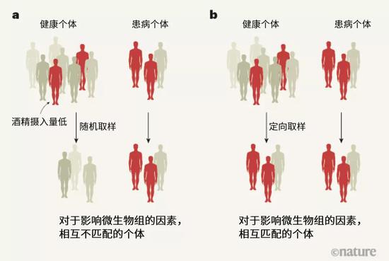 探索人體奧秘的新領(lǐng)域，最新窩窩人體研究揭秘人體奧秘