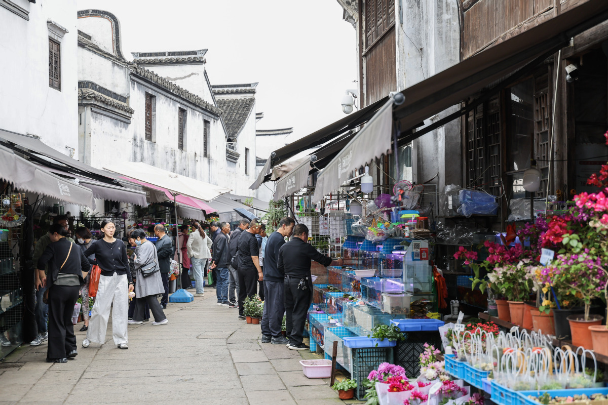 東西堤街搬遷進展及歷史街區(qū)改造與居民安置最新消息