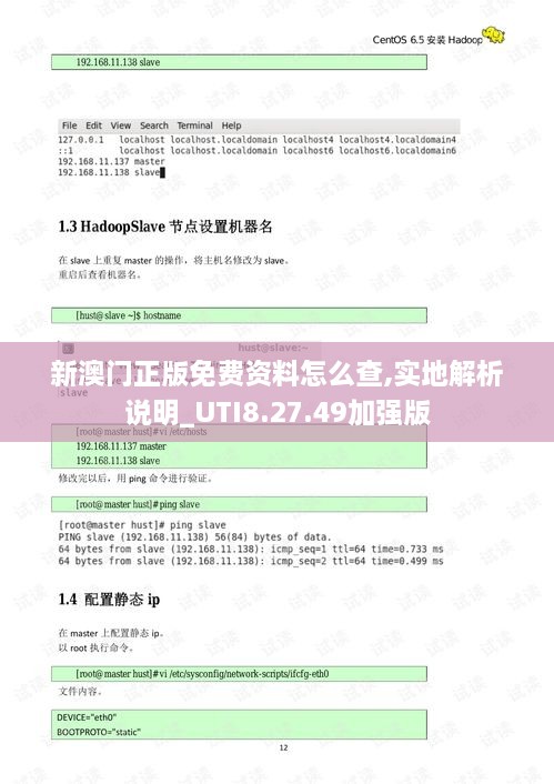 新澳門正版免費(fèi)資料怎么查,實地解析說明_UTI8.27.49加強(qiáng)版