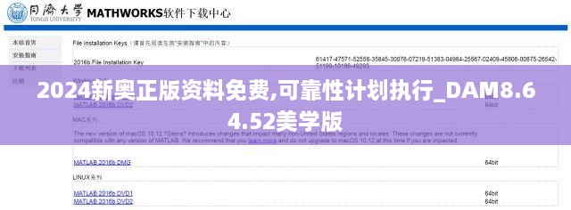 2024新奧正版資料免費,可靠性計劃執(zhí)行_DAM8.64.52美學(xué)版