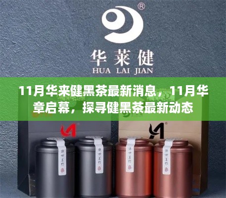 探尋健黑茶最新動態(tài)，華章啟幕，華來健黑茶最新消息揭秘