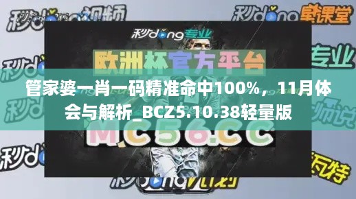 管家婆一肖一碼精準(zhǔn)命中100%，11月體會(huì)與解析_BCZ5.10.38輕量版