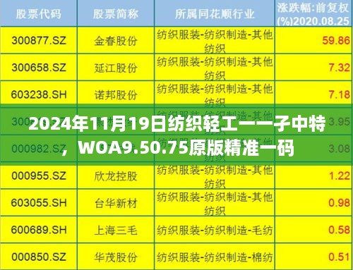 2024年11月19日紡織輕工一一孑中特，WOA9.50.75原版精準一碼