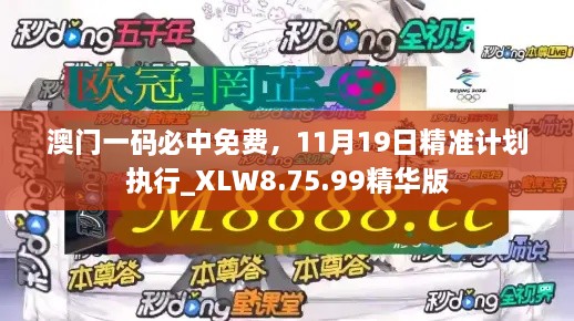 澳門一碼必中免費，11月19日精準(zhǔn)計劃執(zhí)行_XLW8.75.99精華版