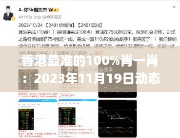 香港最準(zhǔn)的100%肖一肖：2023年11月19日動態(tài)解析指南_PHZ1.77.23解密版