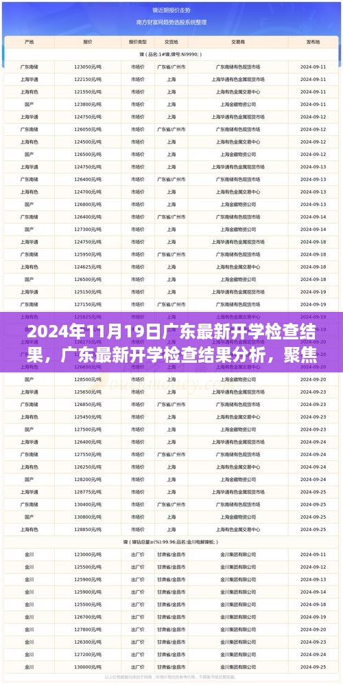 廣東最新開學(xué)檢查結(jié)果分析與觀察思考，聚焦2024年11月19日報告