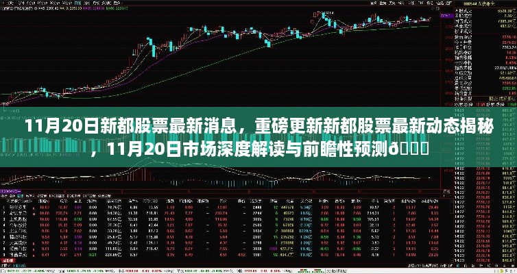 11月20日新都股票最新動態(tài)與市場深度解讀，前瞻性預測揭秘??