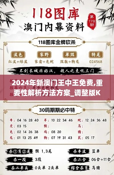 2024年新澳門(mén)王中王免費(fèi),重要性解析方法方案_調(diào)整版KJZ2.42