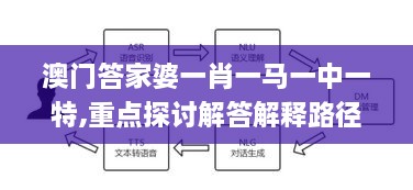 澳門答家婆一肖一馬一中一特,重點探討解答解釋路徑_可變版ABP4.24