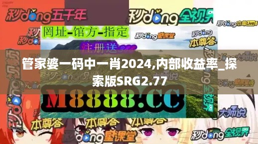 管家婆一碼中一肖2024,內部收益率_探索版SRG2.77