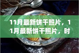 時尚與傳統(tǒng)交融的餅干美學，11月最新餅干照片探析