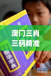 澳門三肖三碼精準100%新華字典332期,社會承擔實踐戰(zhàn)略_經典版BRL11.19