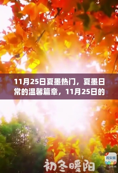 夏墨日常，11月25日的暖陽時(shí)光與溫馨篇章