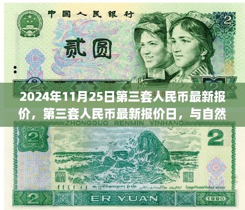 第三套人民幣最新報價與邂逅自然美景之旅，2024年11月25日行情概覽