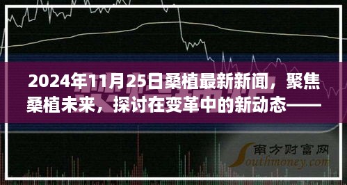 變革中的新動態(tài)，聚焦桑植未來——2024年11月25日桑植最新新聞視角