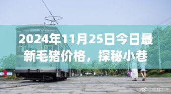 毛豬價(jià)格揭秘與小巷特色小店的幕后故事，2024年最新資訊，今日探秘之旅