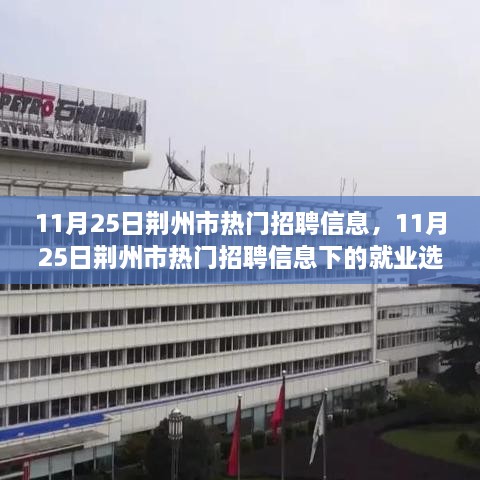 11月25日荊州市熱門(mén)招聘信息，11月25日荊州市熱門(mén)招聘信息下的就業(yè)選擇，機(jī)遇與挑戰(zhàn)并存