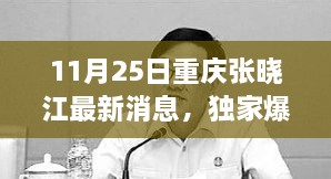 重慶張曉江最新動(dòng)態(tài)揭秘，11月25日獨(dú)家爆料，瞬間驚艷！