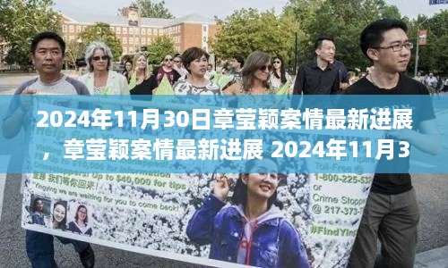 章瑩穎案最新進展報告，2024年11月30日案情更新與參與步驟指南