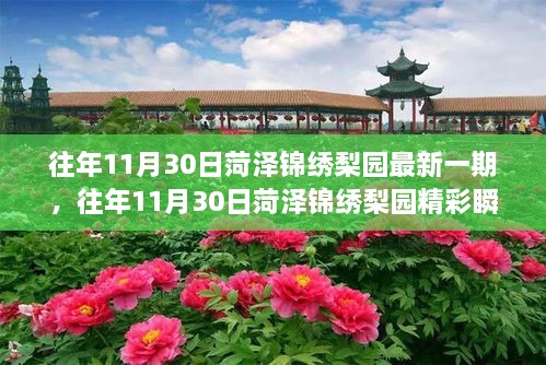 菏澤錦繡梨園，傳統(tǒng)戲曲魅力之旅的精彩瞬間探索