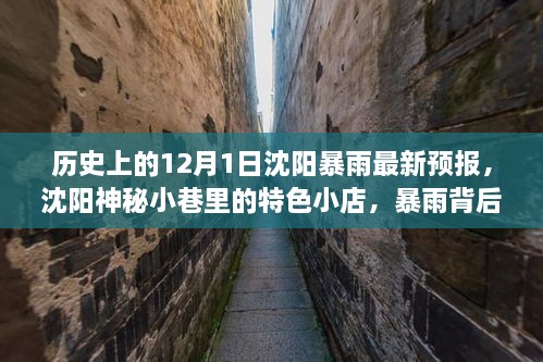 沈陽暴雨背后的神秘小巷寶藏，歷史、最新預(yù)報(bào)與特色小店探索