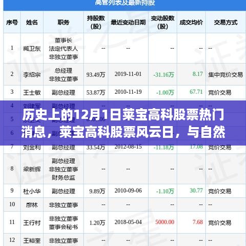 歷史上的12月1日萊寶高科股票熱門消息，萊寶高科股票風(fēng)云日，與自然美景的奇妙邂逅，心靈旅行的啟程時(shí)刻