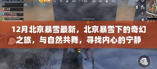 北京暴雪下的奇幻之旅，與自然共舞，探尋內(nèi)心寧?kù)o的旅程