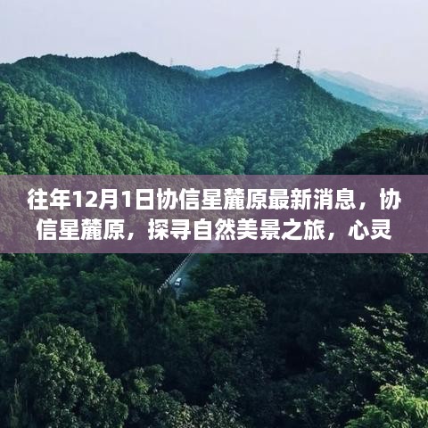 協(xié)信星麓原最新消息，探尋自然美景之旅的心靈港灣