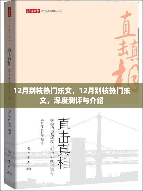 深度測評與介紹，12月別枝熱門樂文