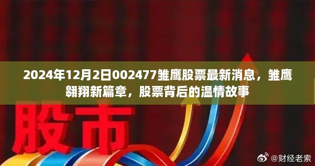 雛鷹翱翔新篇章，揭秘股票背后的溫情故事與最新動(dòng)態(tài)