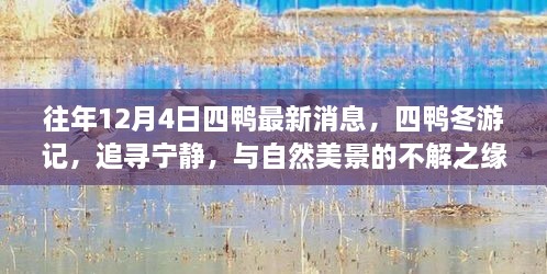 往年12月4日四鴨冬游記，追尋寧?kù)o與美景的不解之緣