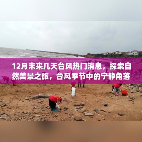 12月臺風熱門消息，自然美景探索之旅——臺風季節(jié)的寧靜與冒險