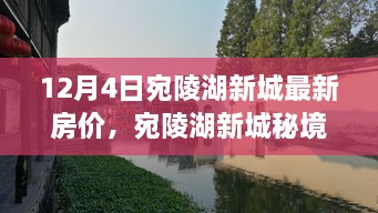 宛陵湖新城房價(jià)揭秘，秘境小巷特色小店與最新房價(jià)探秘之旅