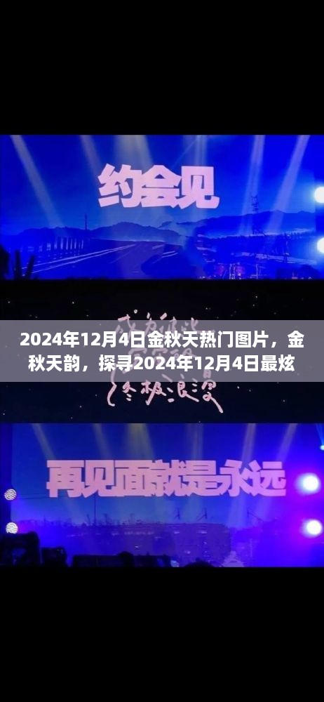 探尋金秋韻味，2024年12月4日熱門圖片精選