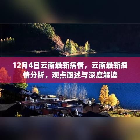 云南疫情最新動態(tài)，深度解讀與分析報告（12月4日更新）