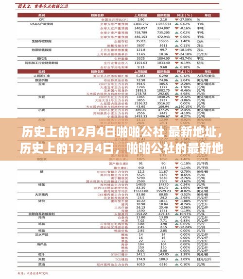 歷史上的12月4日，啪啪公社的最新地址及其背后的故事揭秘（科普文章）