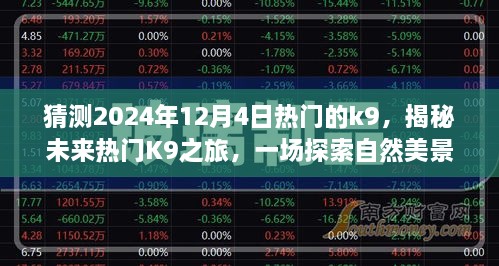 揭秘未來熱門K9之旅，啟程于2024年12月4日的自然美景探索之旅