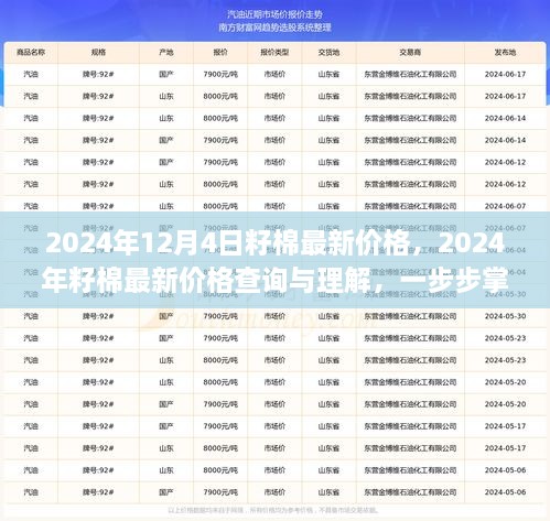 2024年12月4日籽棉最新價格，2024年籽棉最新價格查詢與理解，一步步掌握行情分析技能