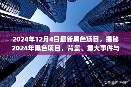 揭秘，2024年黑色項(xiàng)目的背景、重大事件與深遠(yuǎn)影響全解析