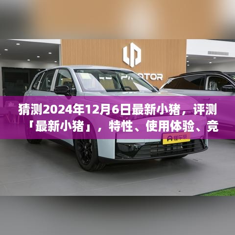 最新小豬測評報告，特性、體驗(yàn)、競品對比及目標(biāo)用戶群體分析（預(yù)測至2024年）