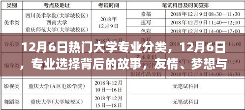 專業(yè)背后的故事，友情、夢想與家的紐帶——12月6日熱門大學(xué)專業(yè)分類探索