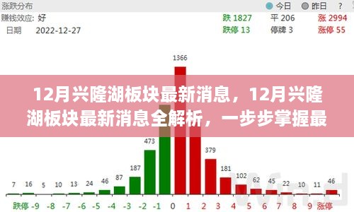 掌握興隆湖板塊最新動(dòng)態(tài)，全面解析十二月最新消息