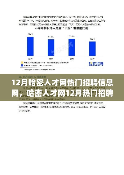 哈密人才網(wǎng)12月熱門招聘信息解讀，市場新動(dòng)向與求職策略深度探討