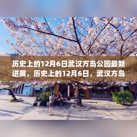 武漢方島公園最新進(jìn)展深度解析，歷史上的12月6日回顧與進(jìn)展報(bào)告