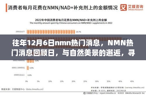 往年NMN熱門(mén)消息回顧日，與自然美景的邂逅，心靈寧?kù)o之旅啟程