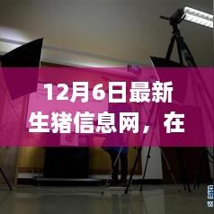 云端豬事，最新生豬信息小記（12月6日）