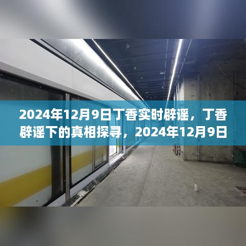 2024年視角下的丁香實(shí)時(shí)辟謠，探尋真相之旅