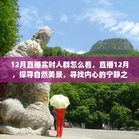 12月直播探尋自然美景，探尋內(nèi)心寧靜之旅的實(shí)時(shí)觀眾洞察